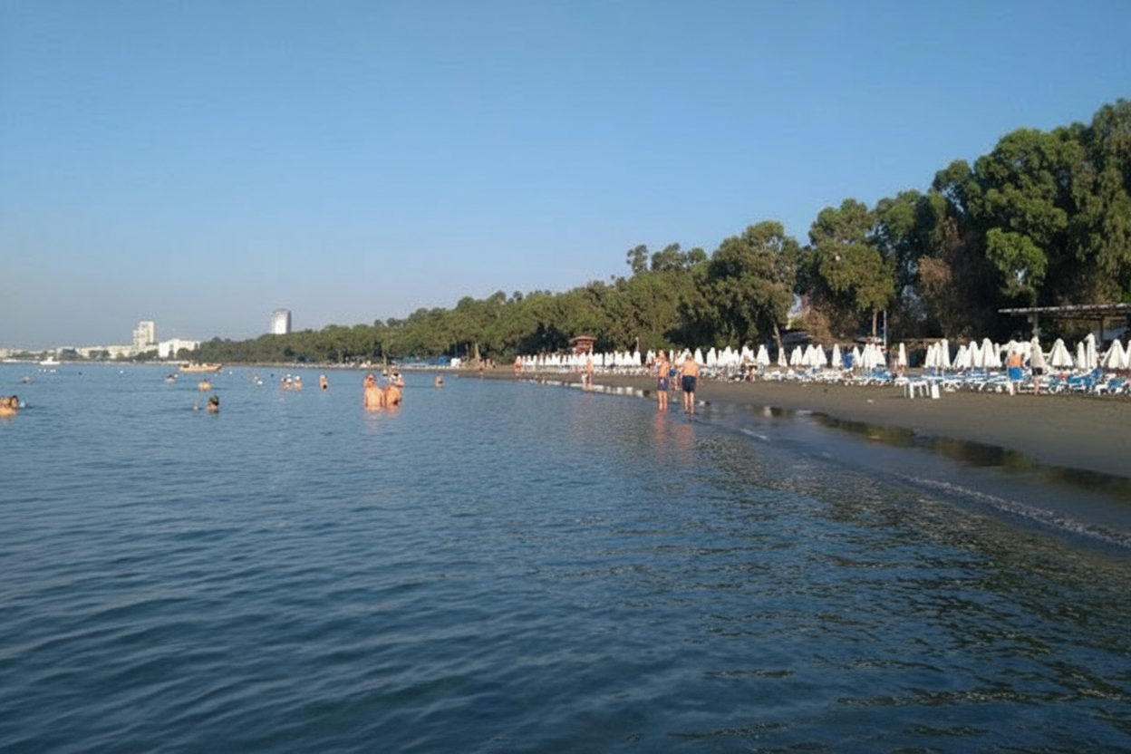 Dasoudi Beach